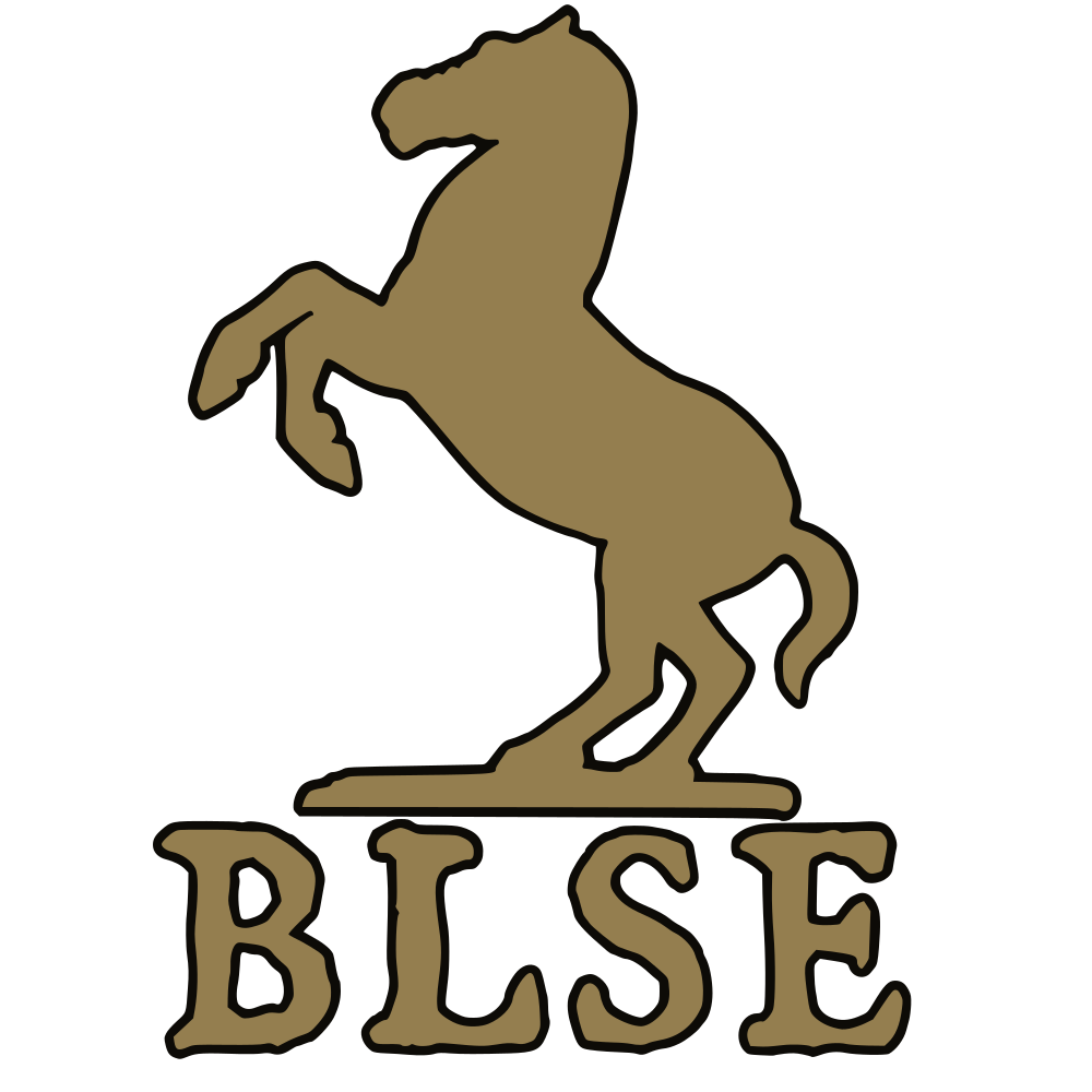 BLSE启动器[支持1.2.11-1.0.0] 封面